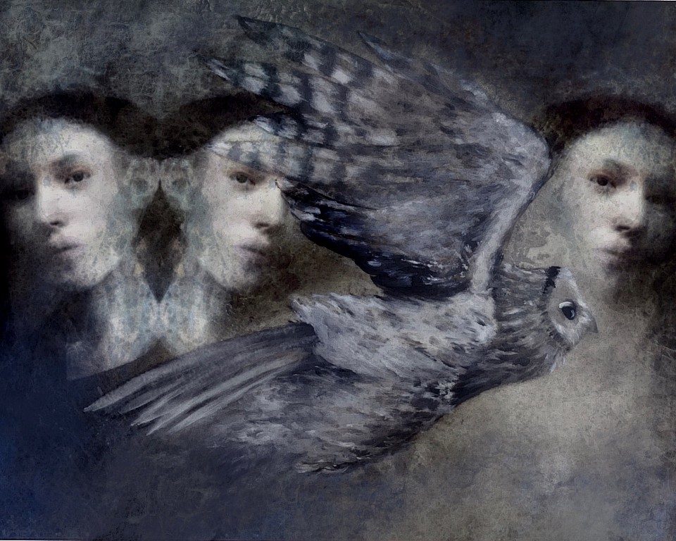 Je suis comme l’oiseau…